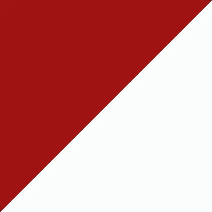 biało-czerwony